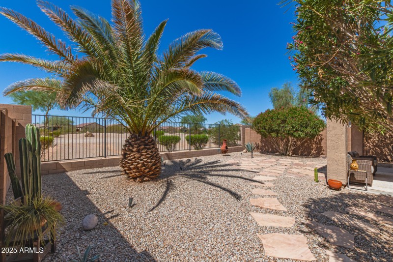 27 Backyard
