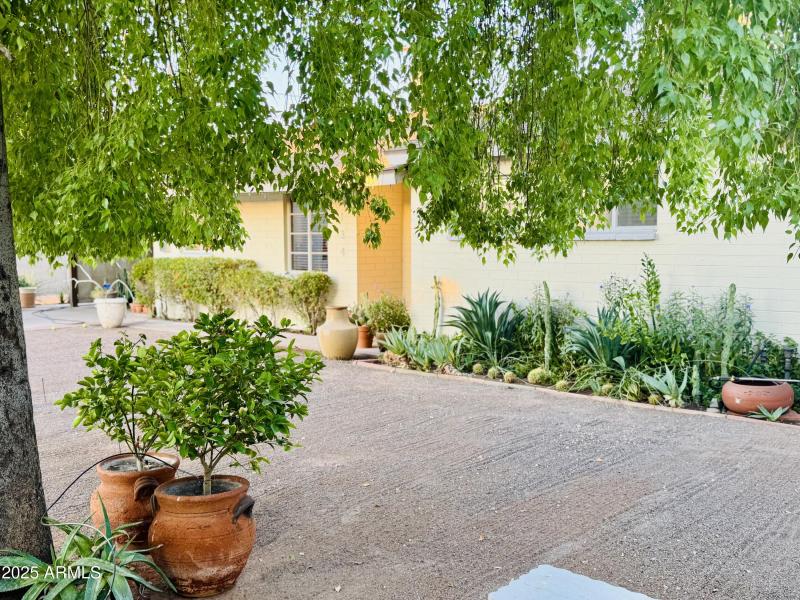 front yard