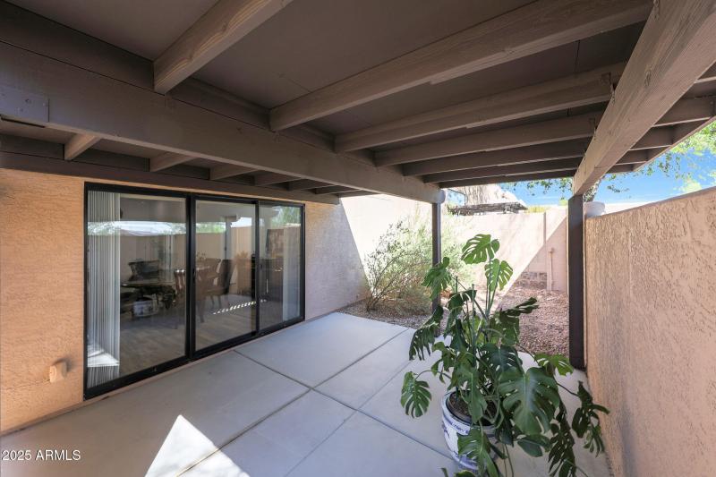 Backyard 3