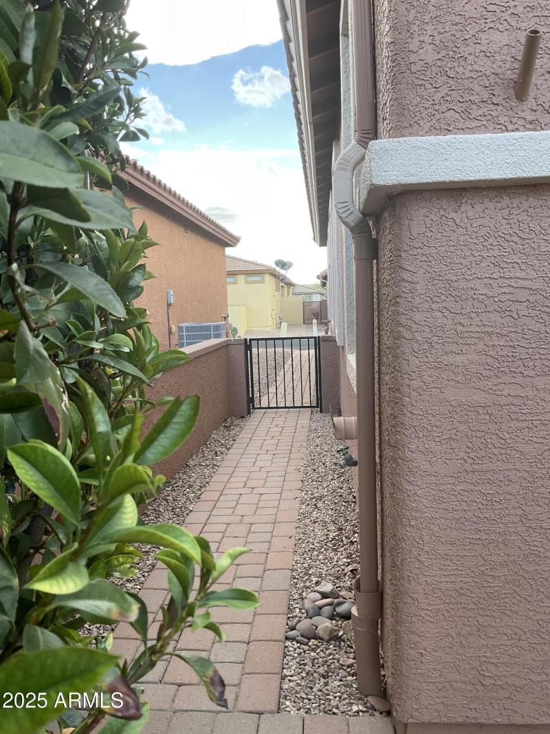 Side Yard