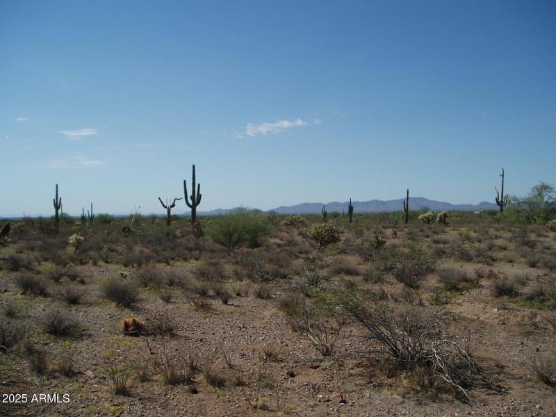 P9250004