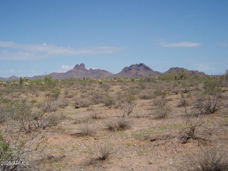 P9250005