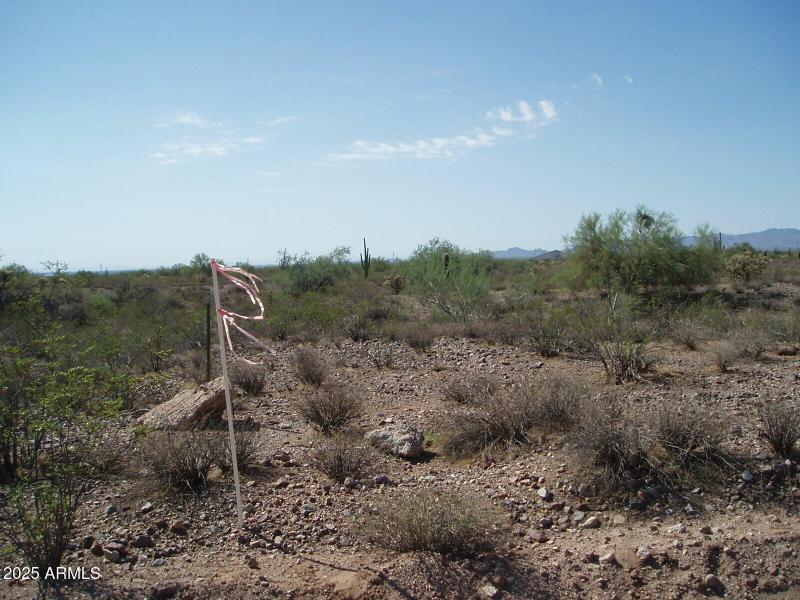 P9250010