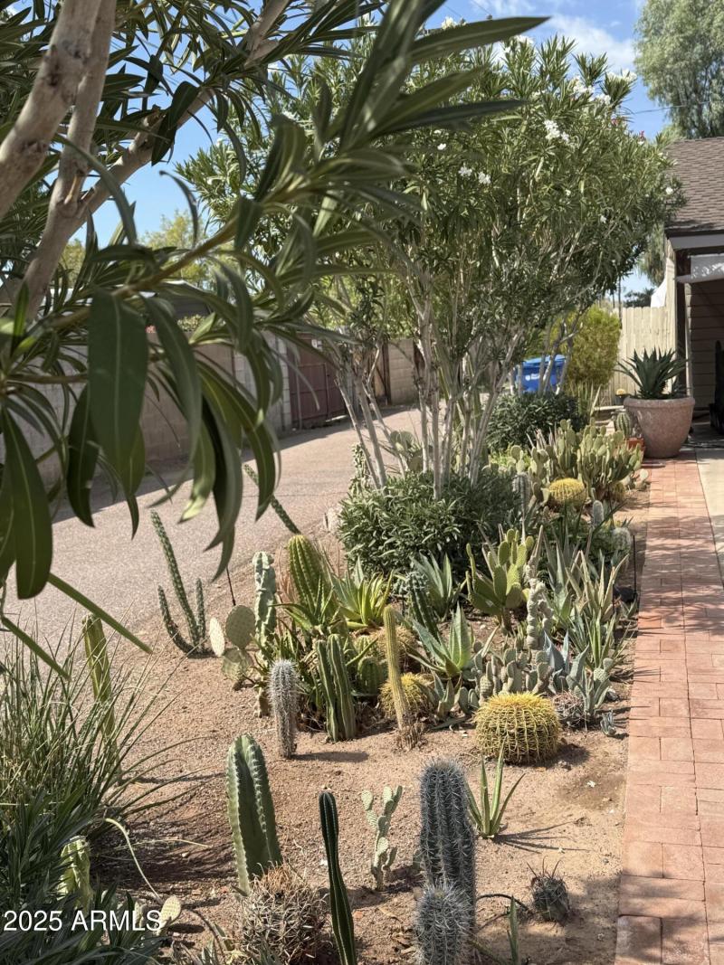 adjacent to driveway