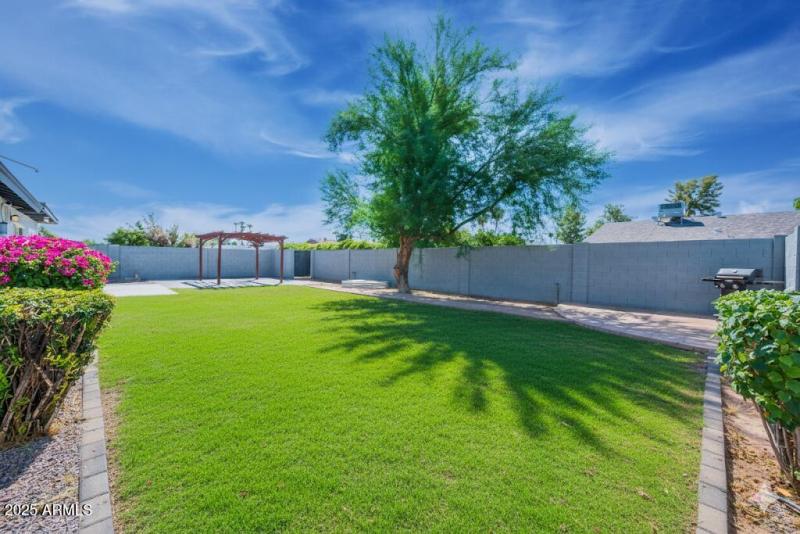 Staged Backyard