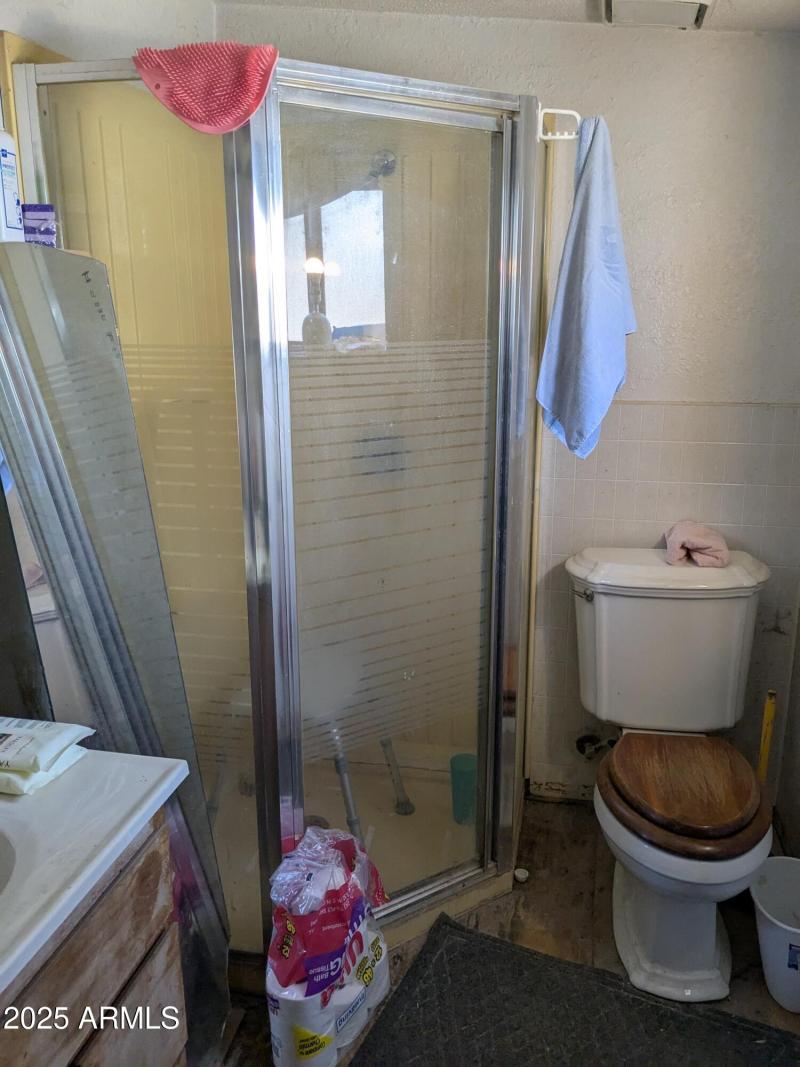 Master walk-in shower