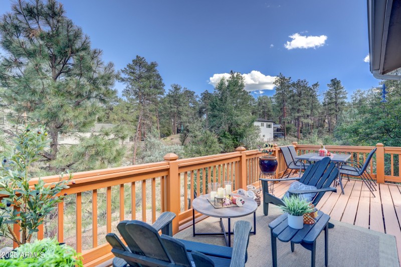 Back Porch 1(1)