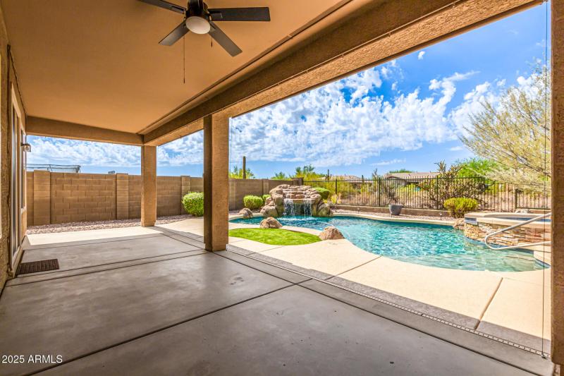 Back yard