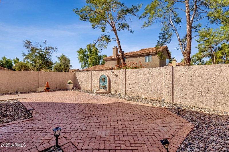 Low maintenance backyard