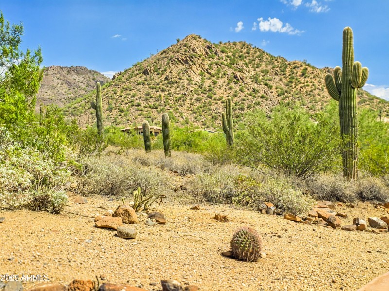 Scenic Views & Trails