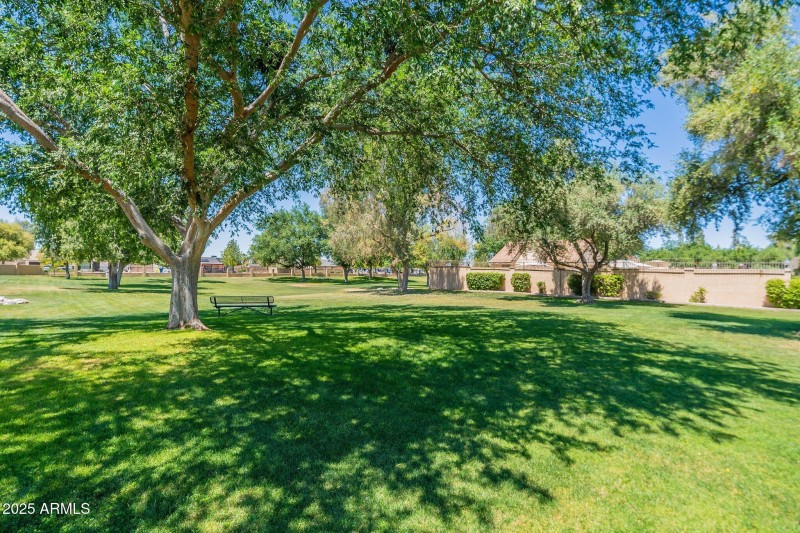 5-web-or-mls-Horne-Community HD-5