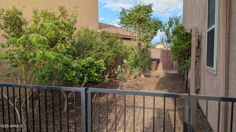 Side Yard Fenced with Fruit Trees