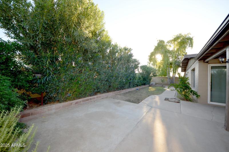 Backyard