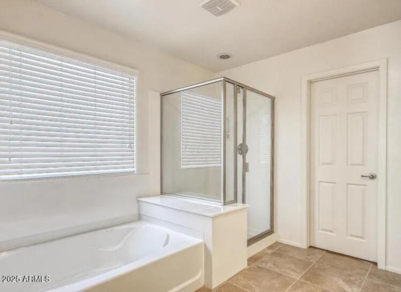 Owner Suite Shower and Tub