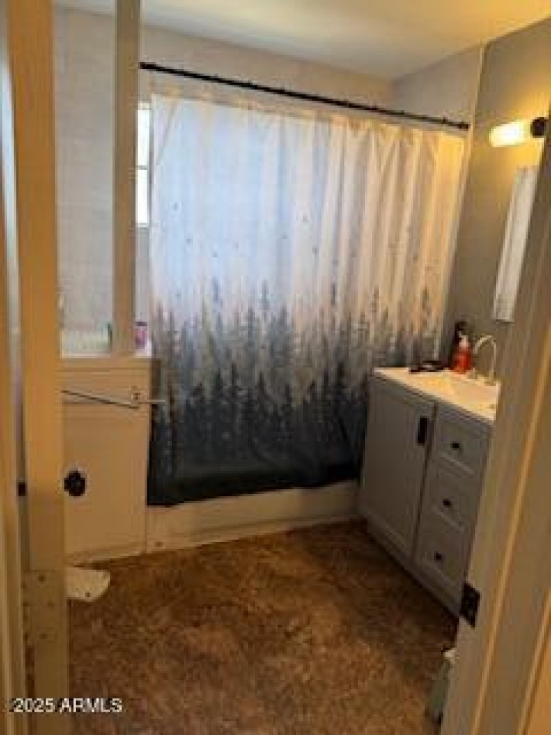 310 Fourth st bathroom