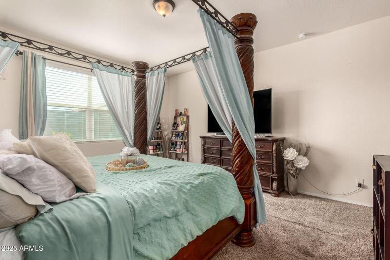 18 - Pampoloma 36371