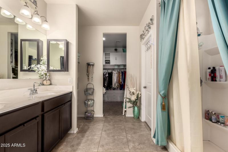 19 - Pampoloma 36371