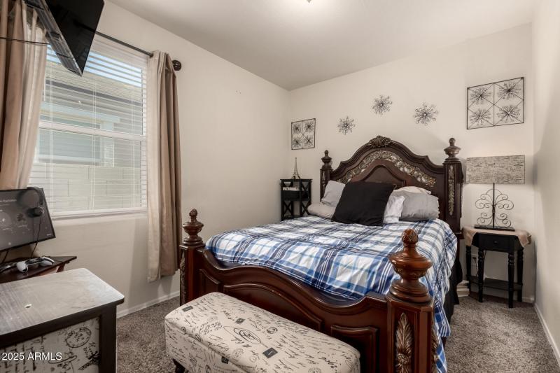 24 - Pampoloma 36371