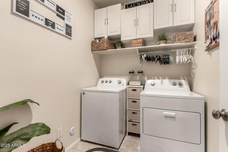 26 - Pampoloma 36371