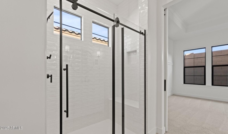 FSVV Lot #45 Primary Bath 2 (Large)