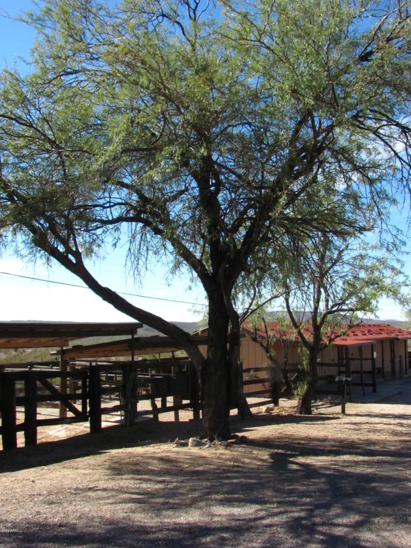 rancho 11-11-10 019