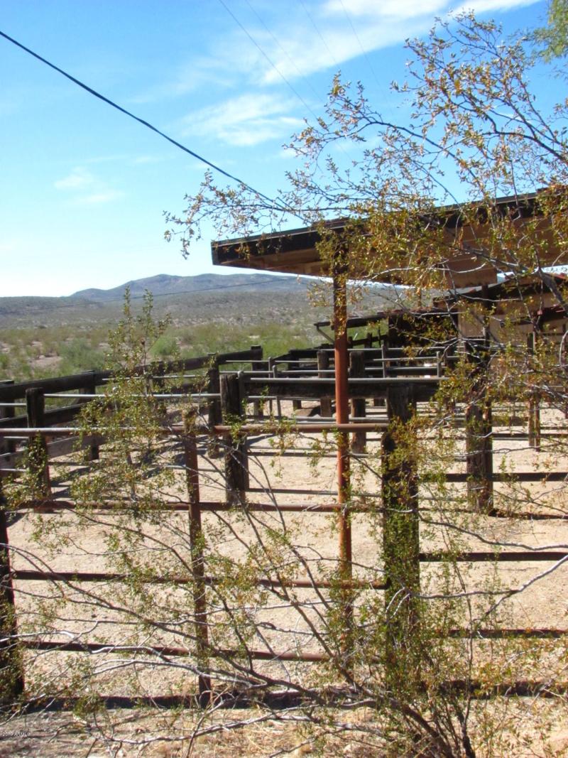 rancho 11-11-10 018