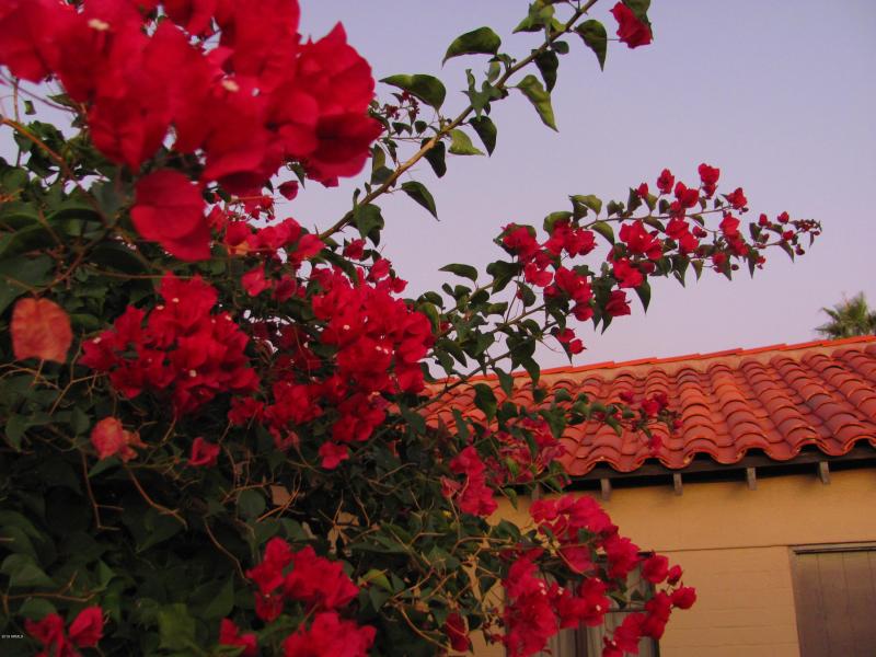 rancho 11-11-10 004