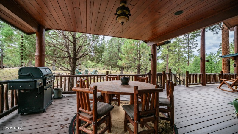 4218 Stargazer Dr Exterior Photos-11