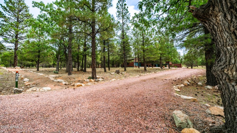 4218 Stargazer Dr Exterior Photos-30
