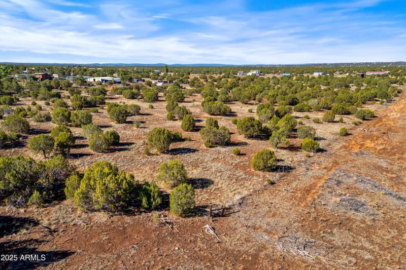 1397BourdonRanchRd-ShowLow-AZ-13