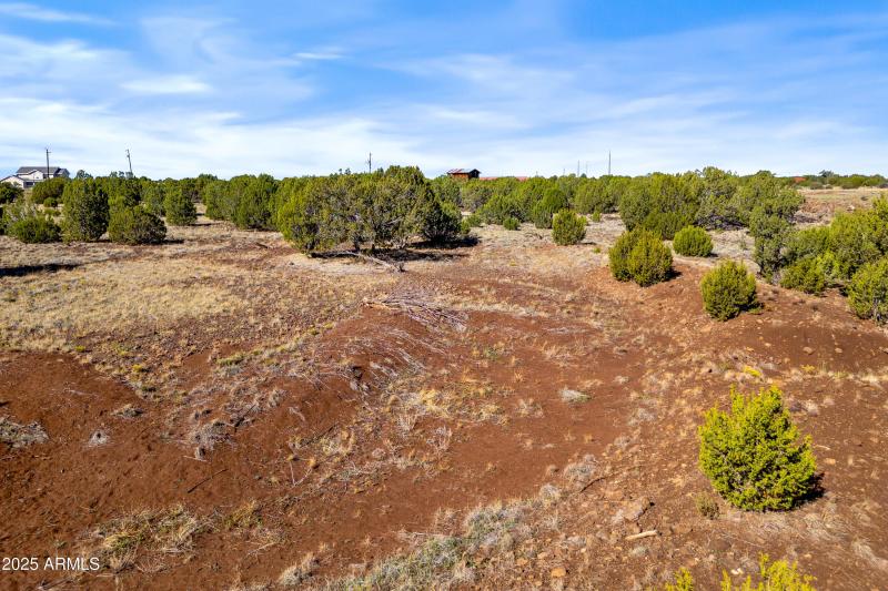 1397BourdonRanchRd-ShowLow-AZ-15