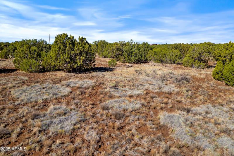 1397BourdonRanchRd-ShowLow-AZ-16