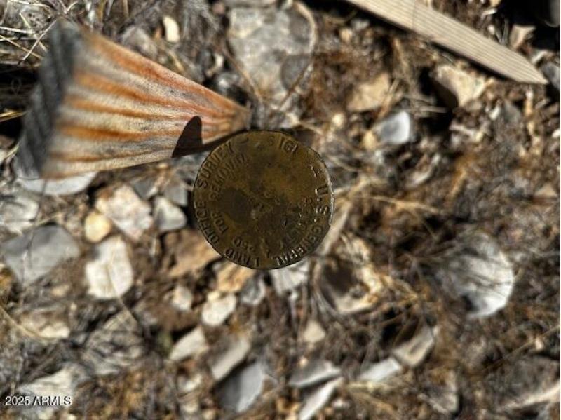1919 Section Pin