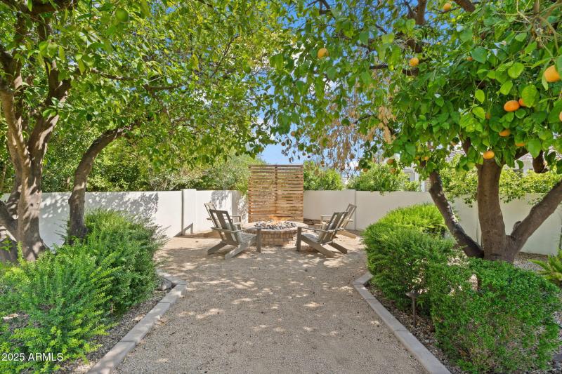 Citrus Trees and Firepit