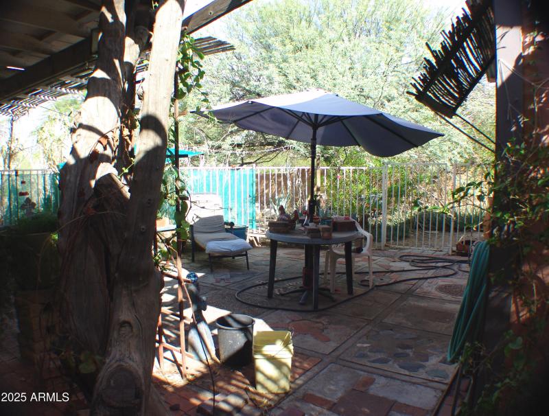 PATIO VIEW DSC07479