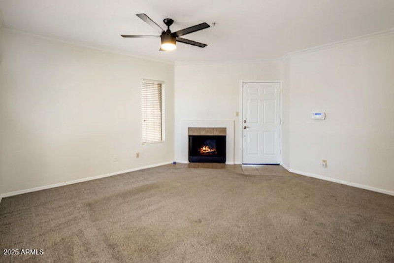 3-web-or-mls-D46A7443 copy