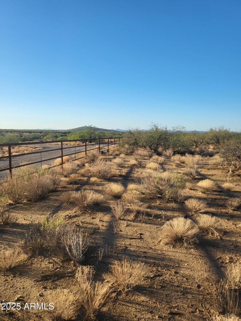 East Fence Line