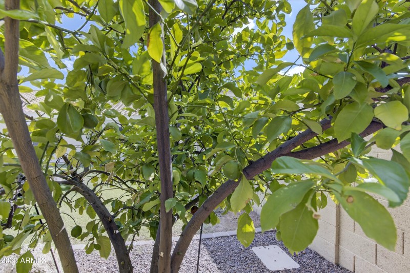 46_046_139_a4m_pershing