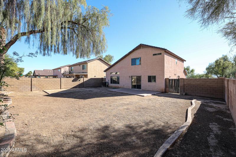 Jackson Backyard 3 Dec 2023