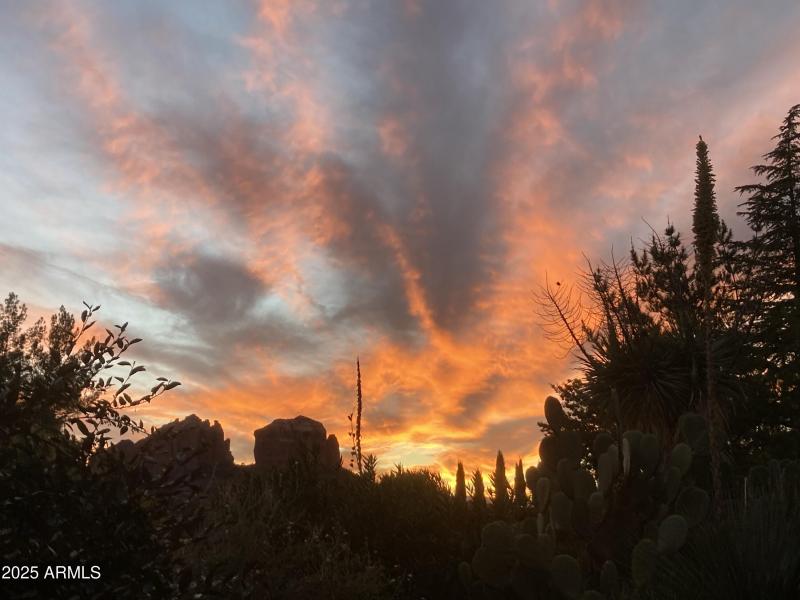 -3336458084487820708