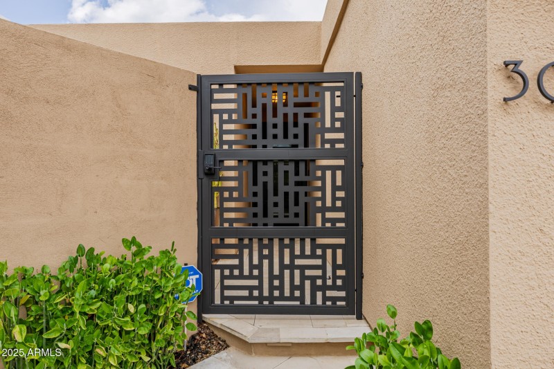 Custom Iron Front Gate