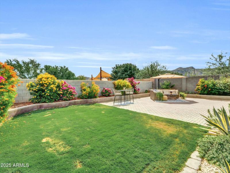 Extensive raised Planters