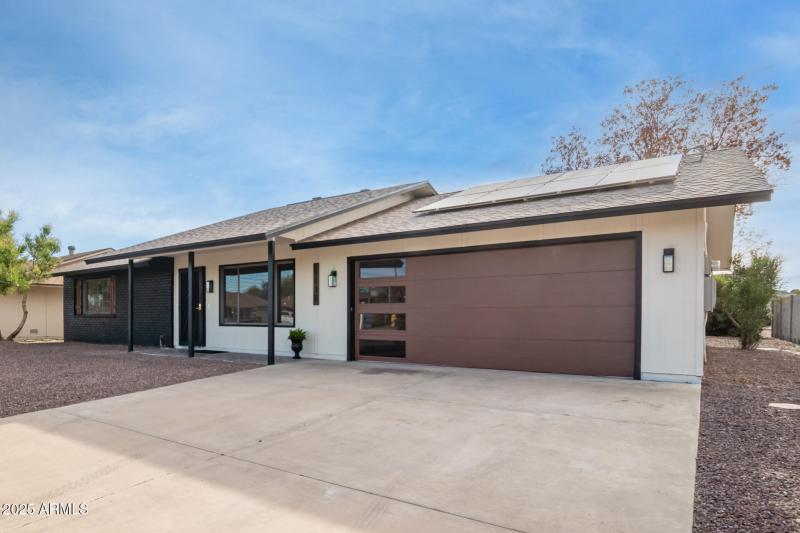 0004-04 - Spanish Moss