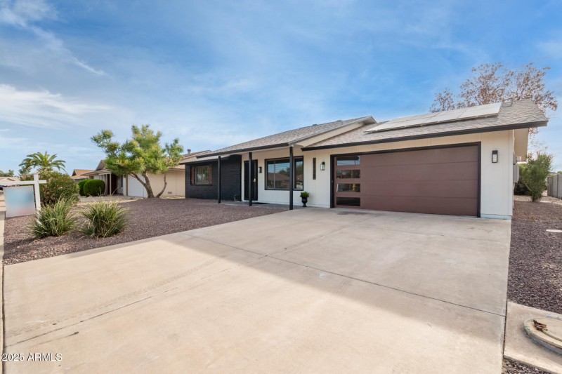 0005-05 - Spanish Moss