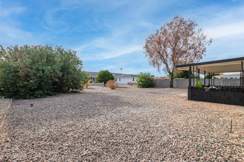 0025-25 - Spanish Moss