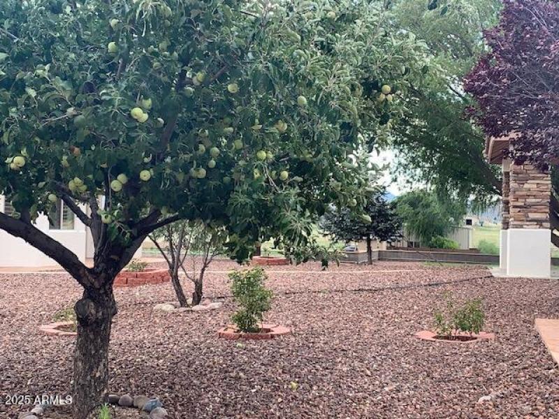 Fruit trees