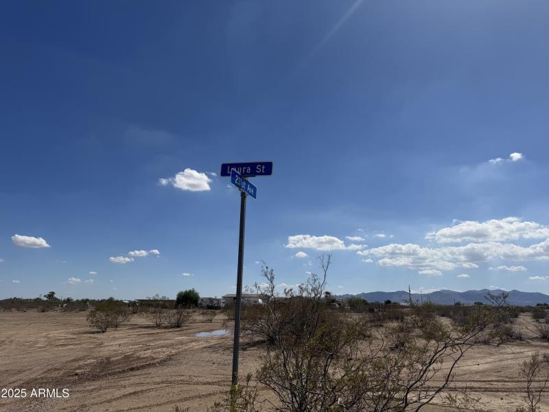 st Sign wittmann