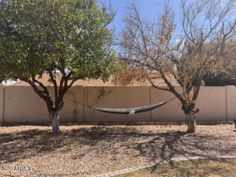 331440C6-2516-4D9C-BA29-A85AFBEAC7CC_4_5