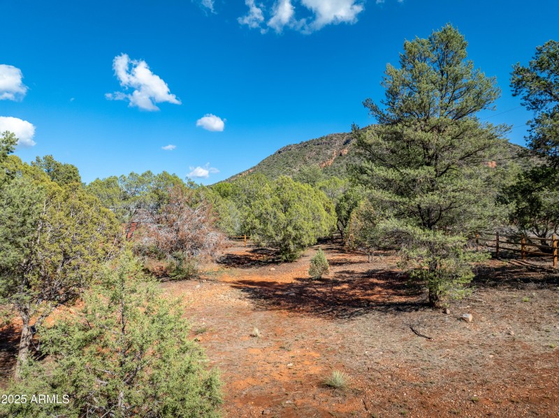 High Desert Landscpe