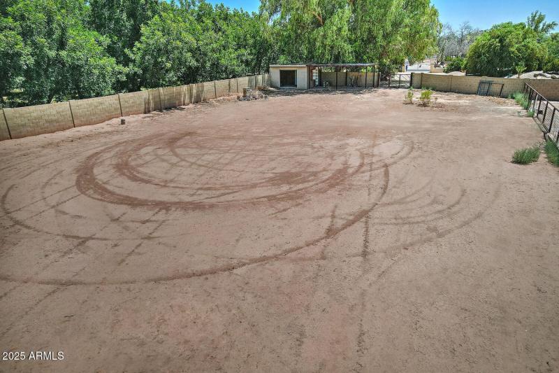 Horse Area-049-015-1500x1000